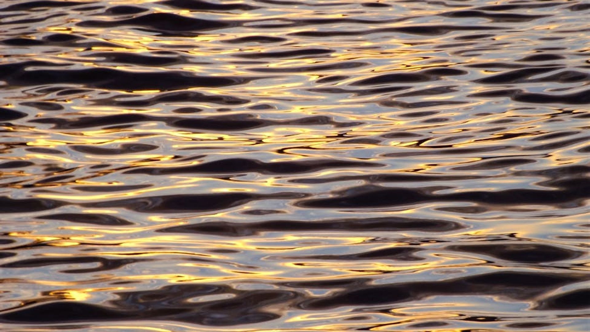Abstract morning sunlight reflecting on calm water surface